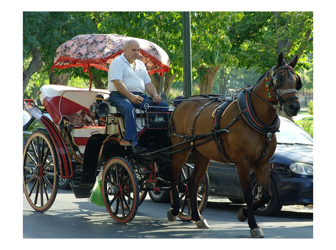 enchanted carriage, enchanted coachman, enchanted horse
