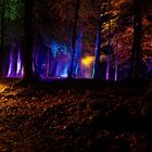 Enchanted Forest - Pitlochry - Scotland