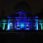 Enchanted Woodland, Syon Park, London