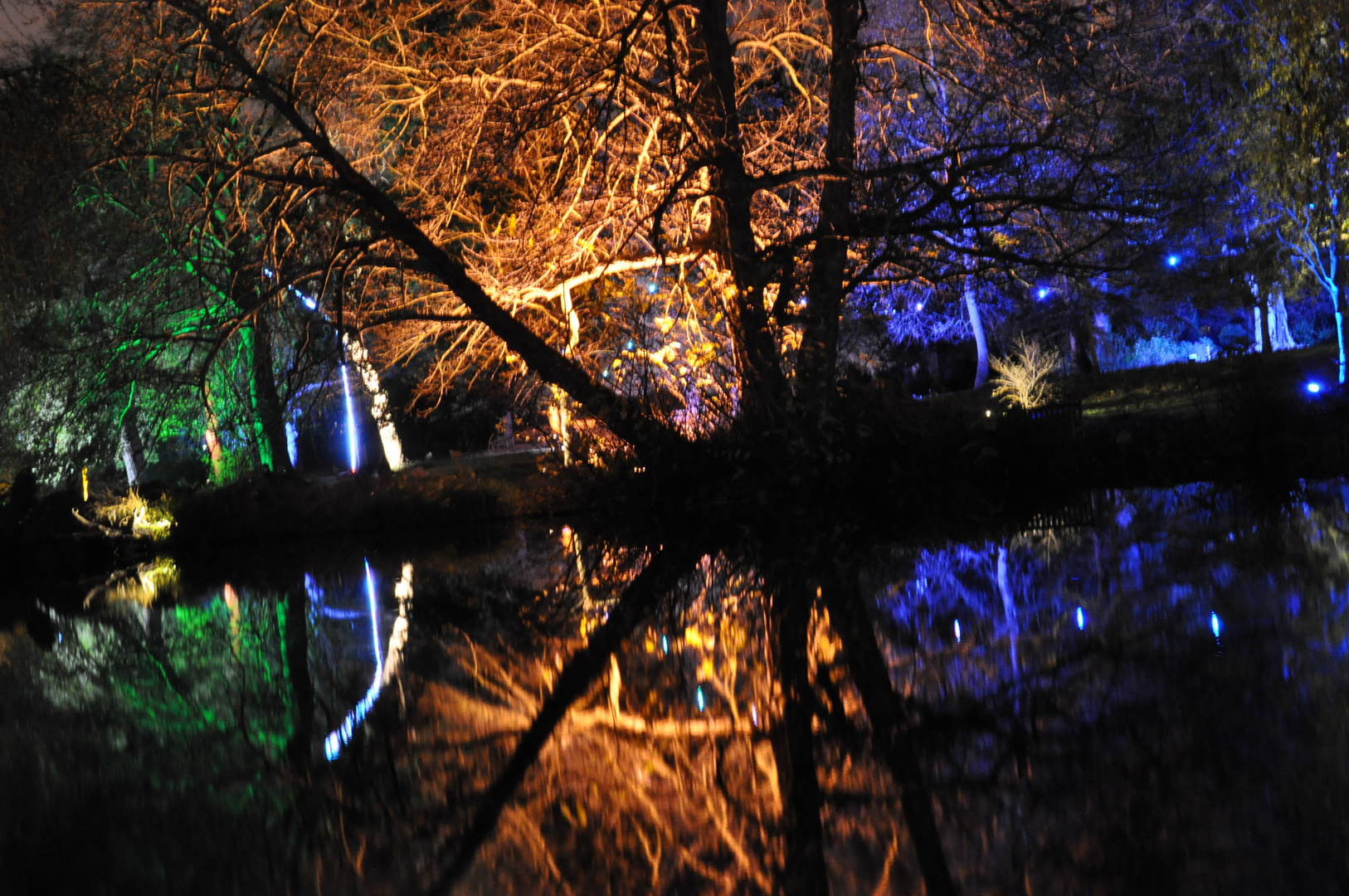 Enchanted Woodland Syon Park, London