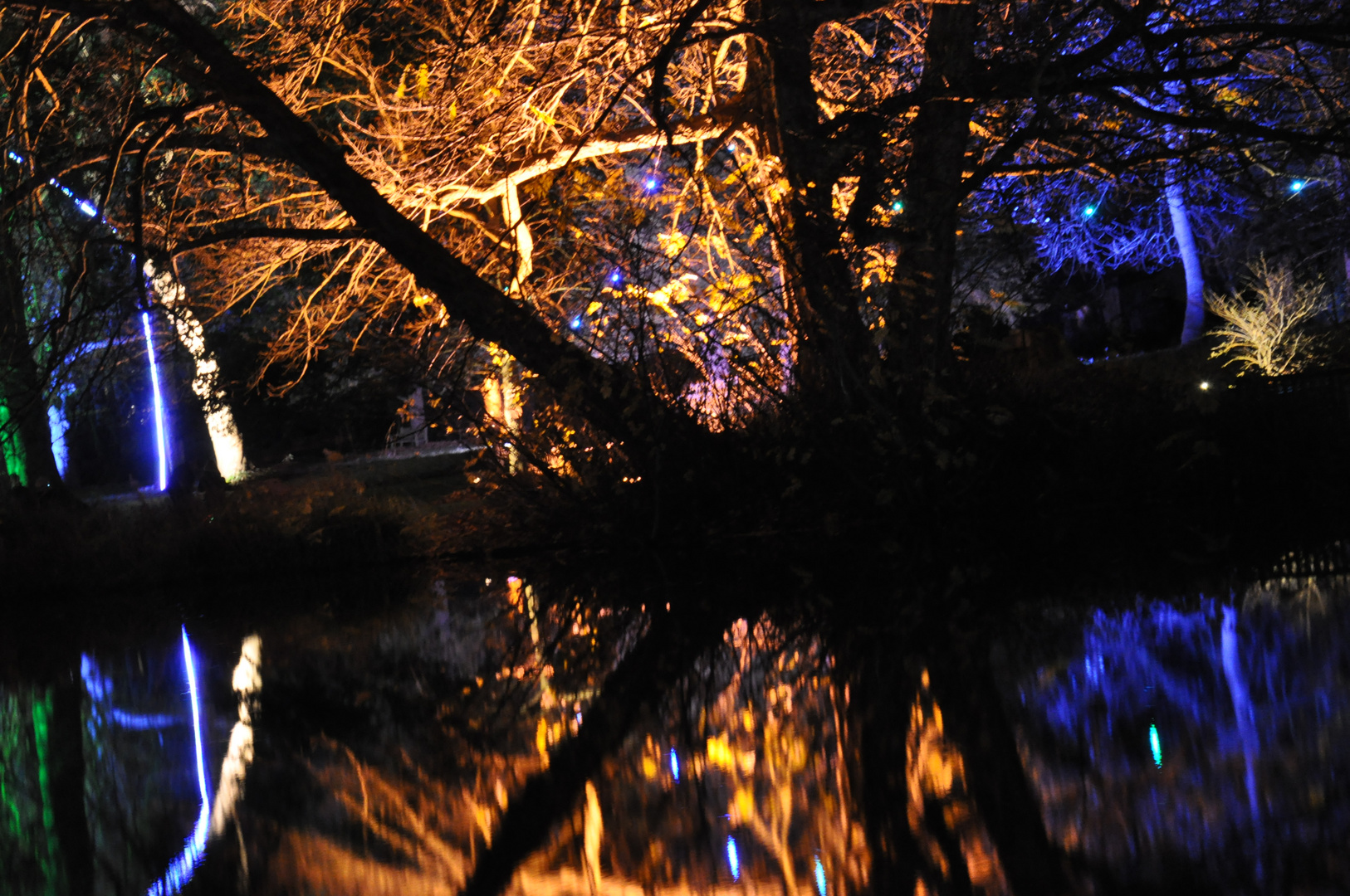 Enchanted Woodland, Syon Park, London