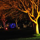 Enchanted Woodland Syon Park London