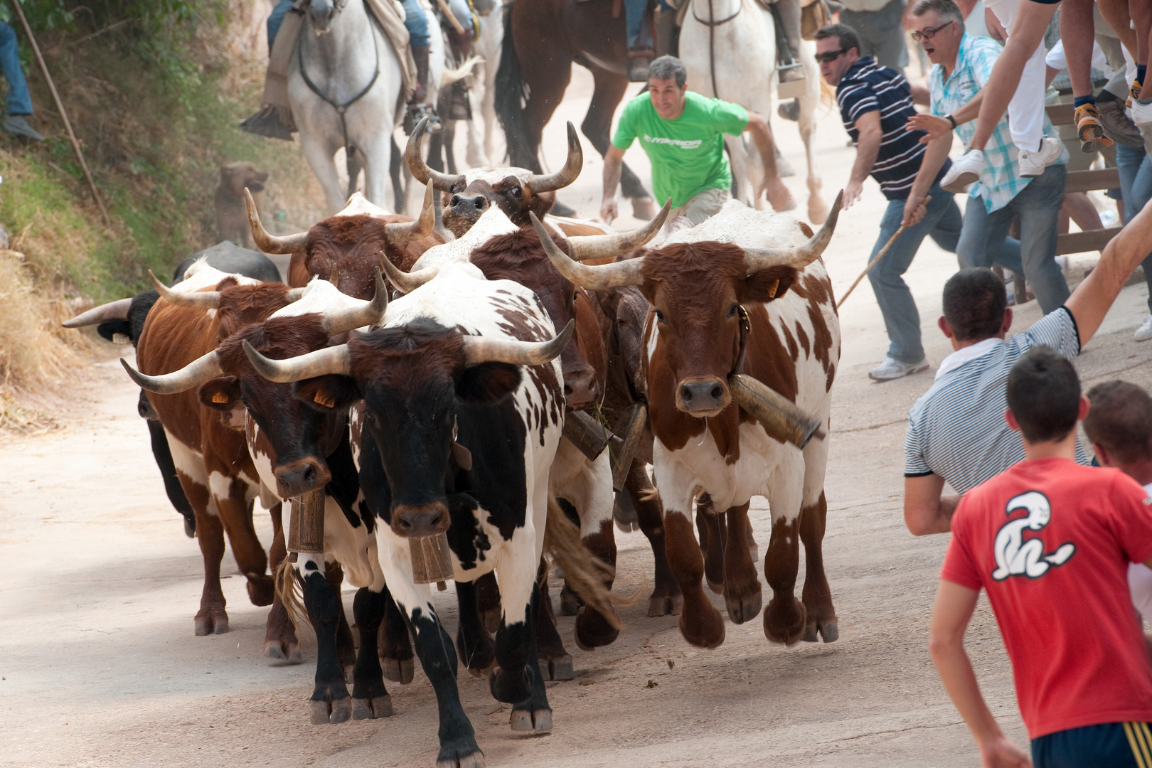 Encierro en La Vegallera (Albacete)