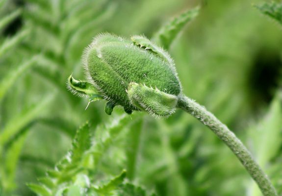 ...encore fermé !!!...