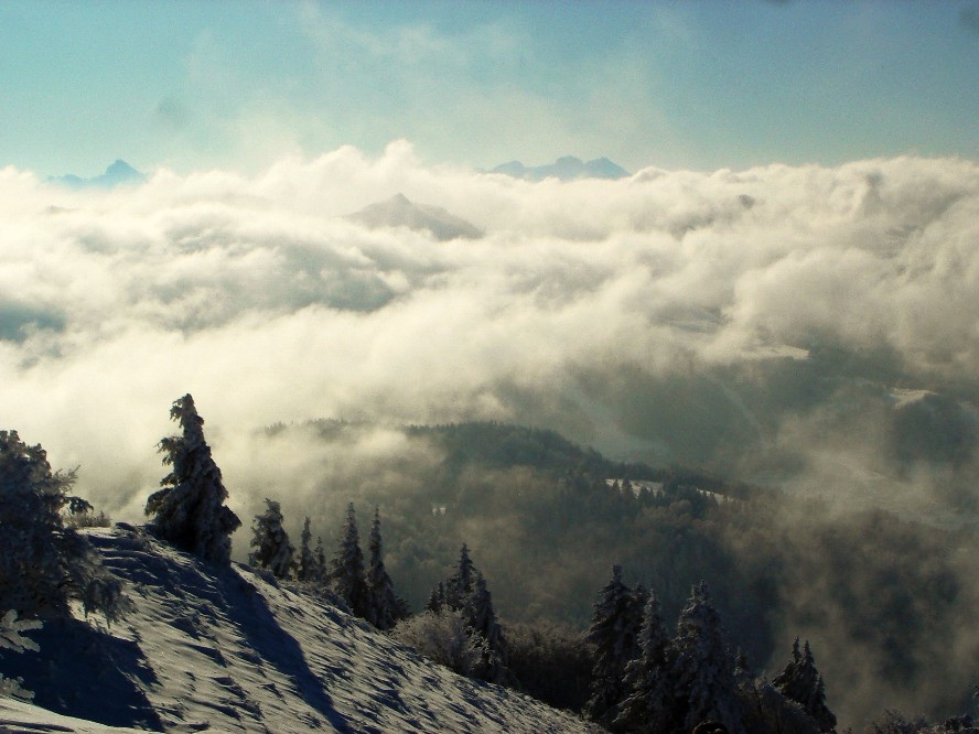 encore quelques brumes sur le fochat (près de Thonon les bains)