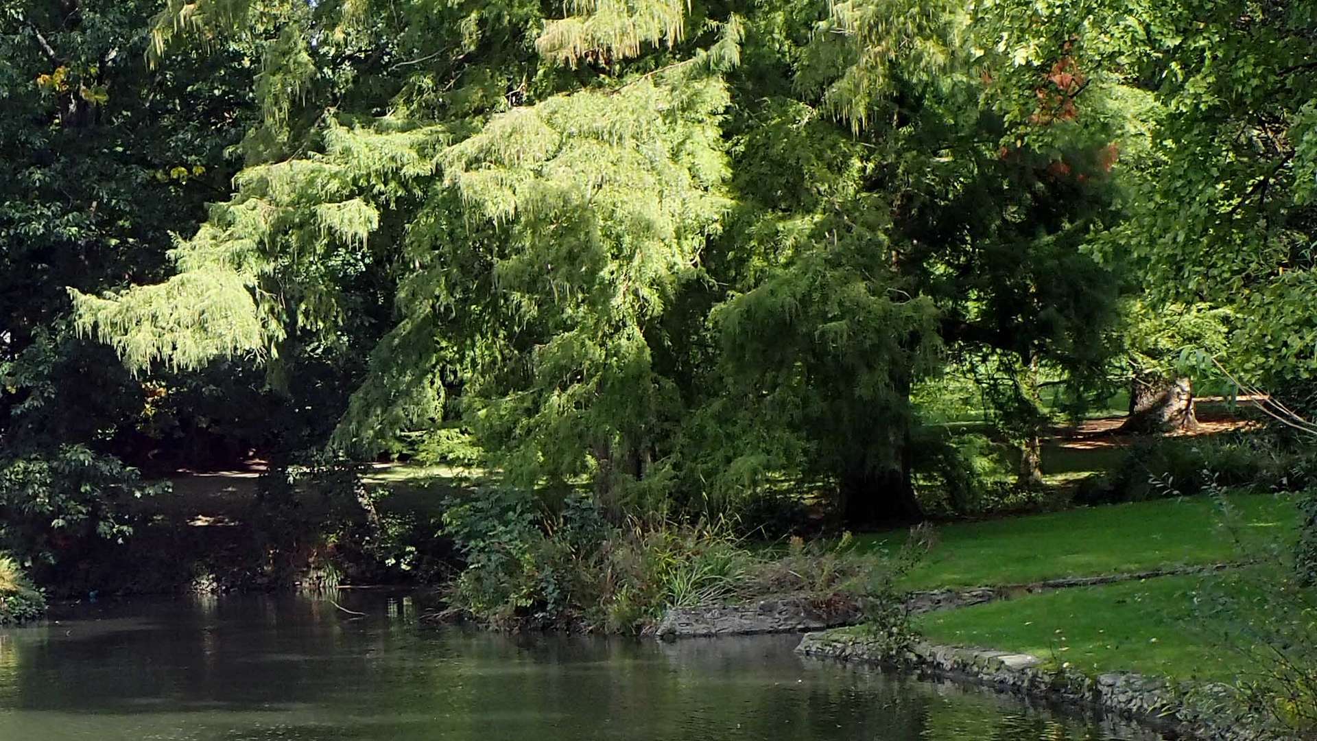 encore un instant d'été ...