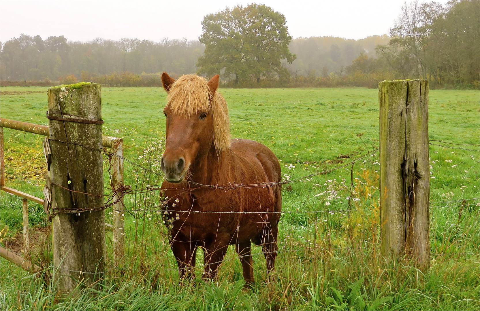 ...encore une fois ..notre petite amie -1- !!!...