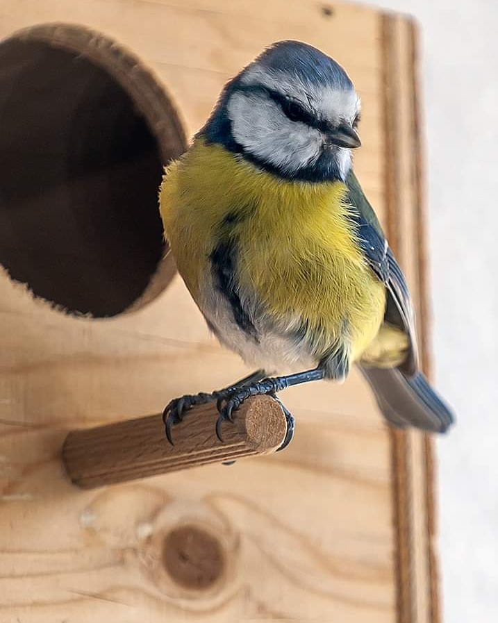 Encore une petite de ma nouvelle copine