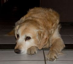 Encore une photo de moi ?