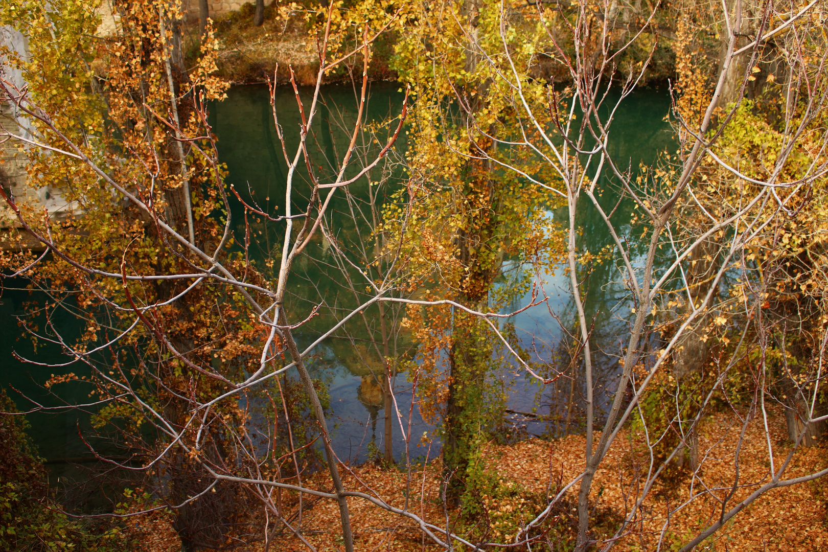 Encuadres naturales.