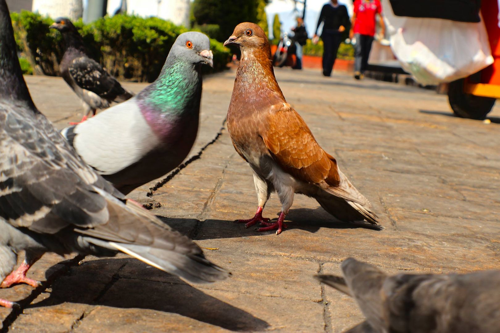 ENCUENTRO