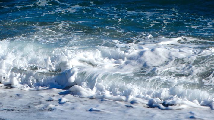 Encuentro con el Mar