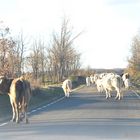 encuentro en la carretera