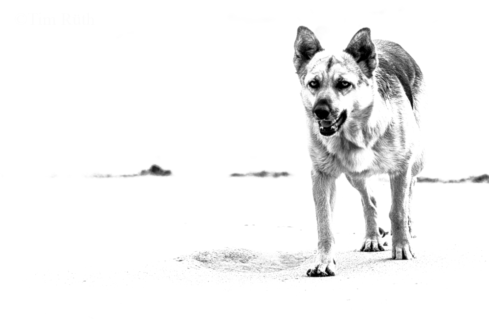 Encuentro en la playa