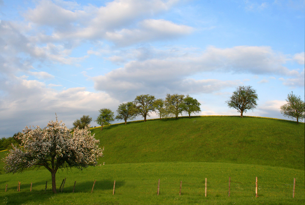 Ende der Blütenzeit