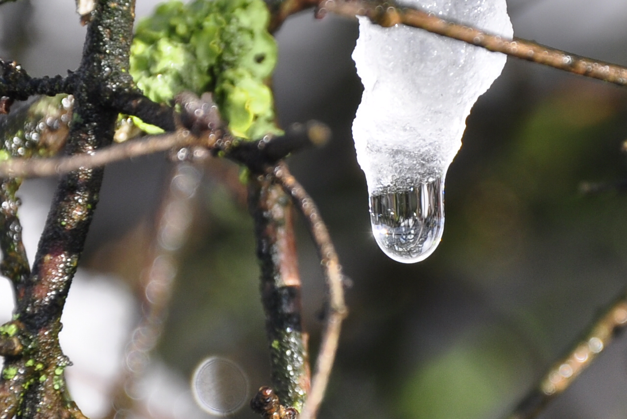 --- Ende der Eiszeit ? ---