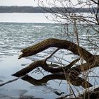 Ende der Eiszeit