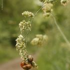 Ende der Fahnenstange