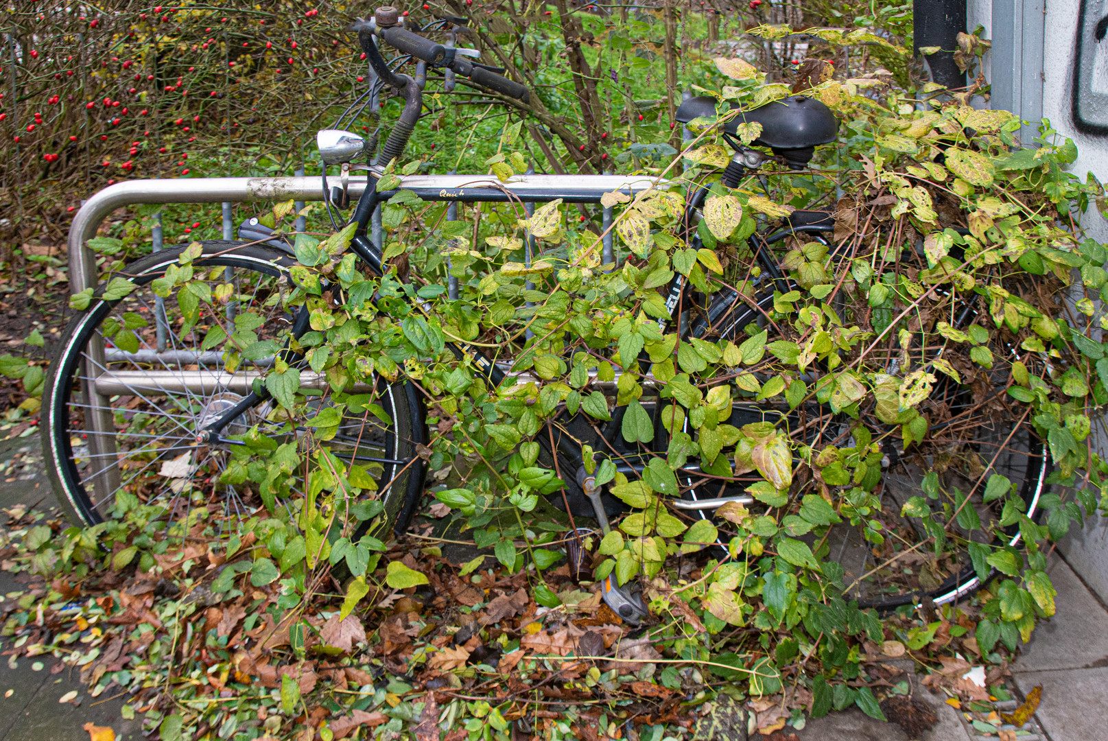 Ende der Fahrrad-Hysterie in Hamburg