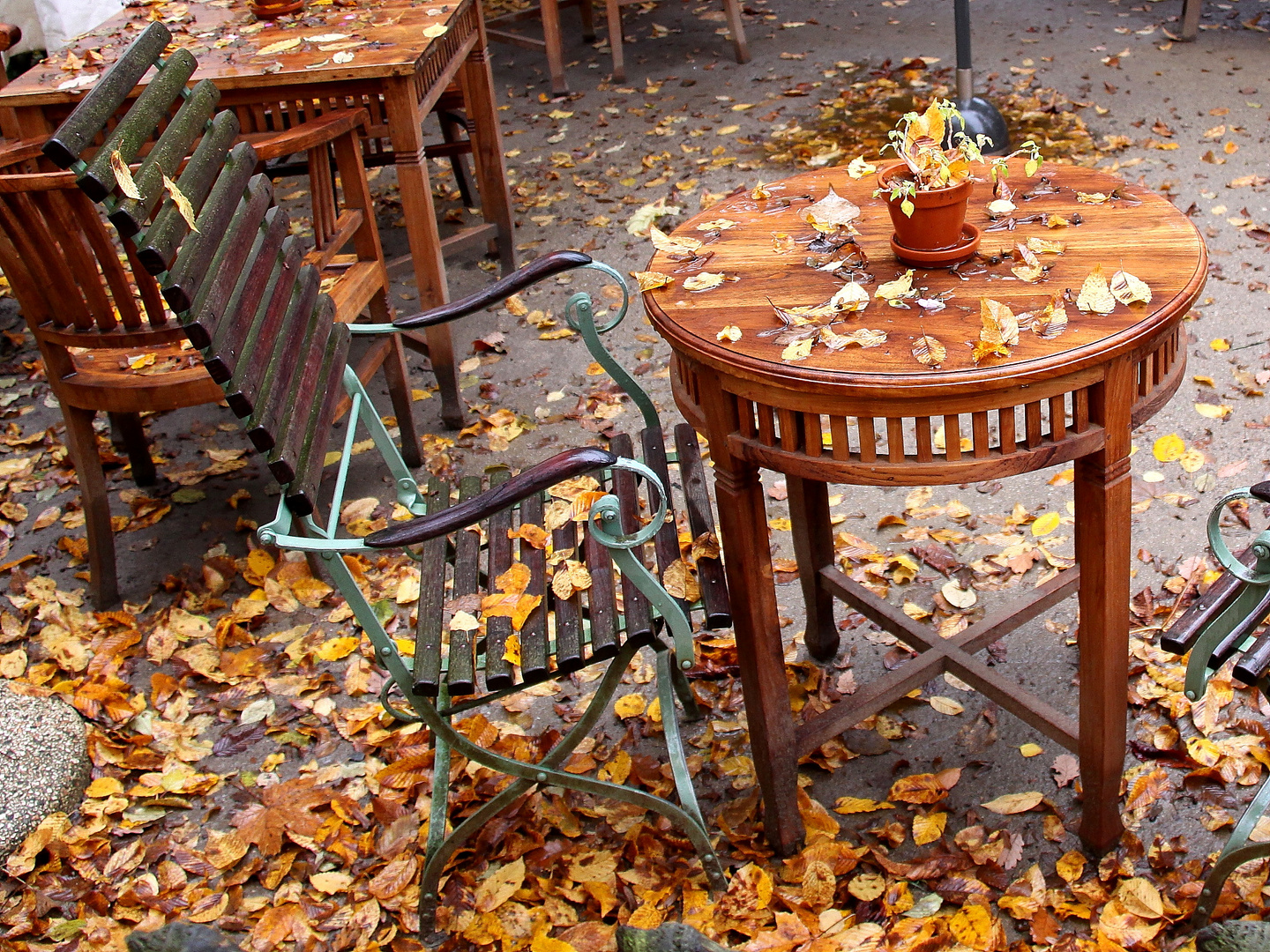 Ende der Gartensaison