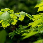 Ende der Regenzeit?