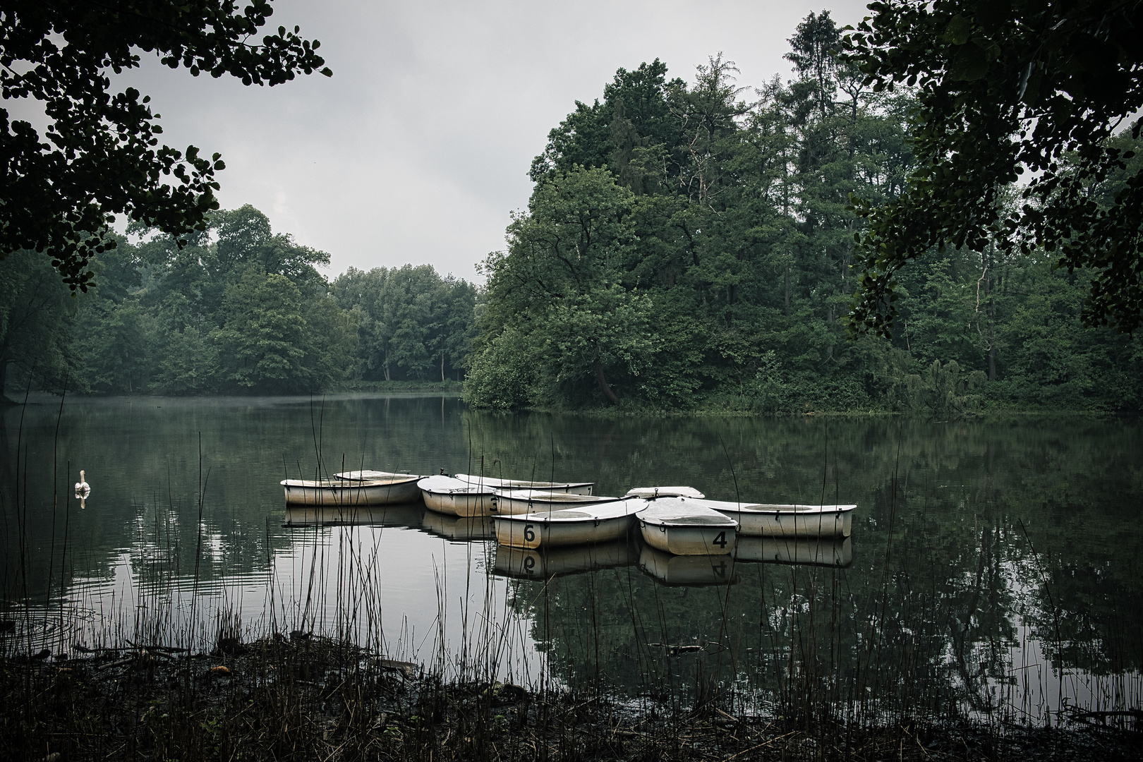 Ende Der Saison