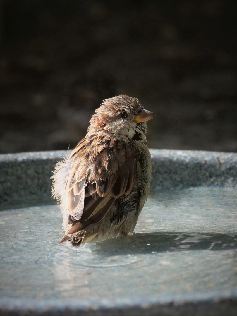 Ende der Sommerzeit