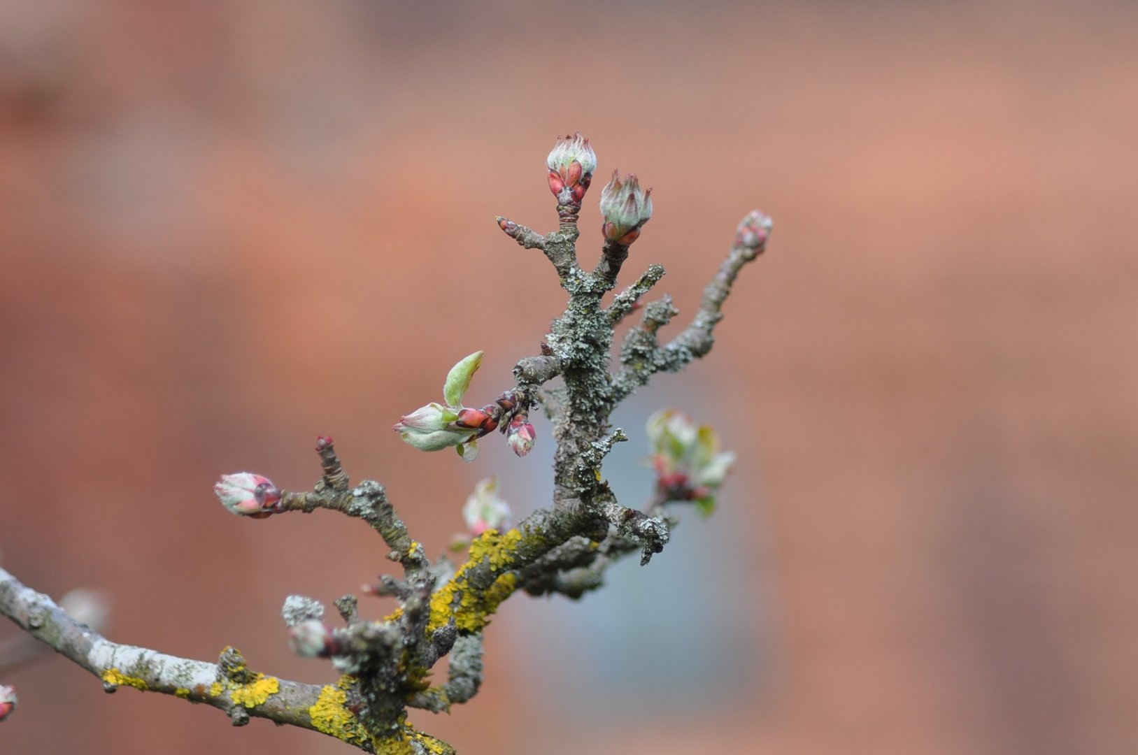 Ende der Winterruhe