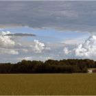 Ende der Wolkentage ? Spätnachmittag im Nordwesten Münchens.