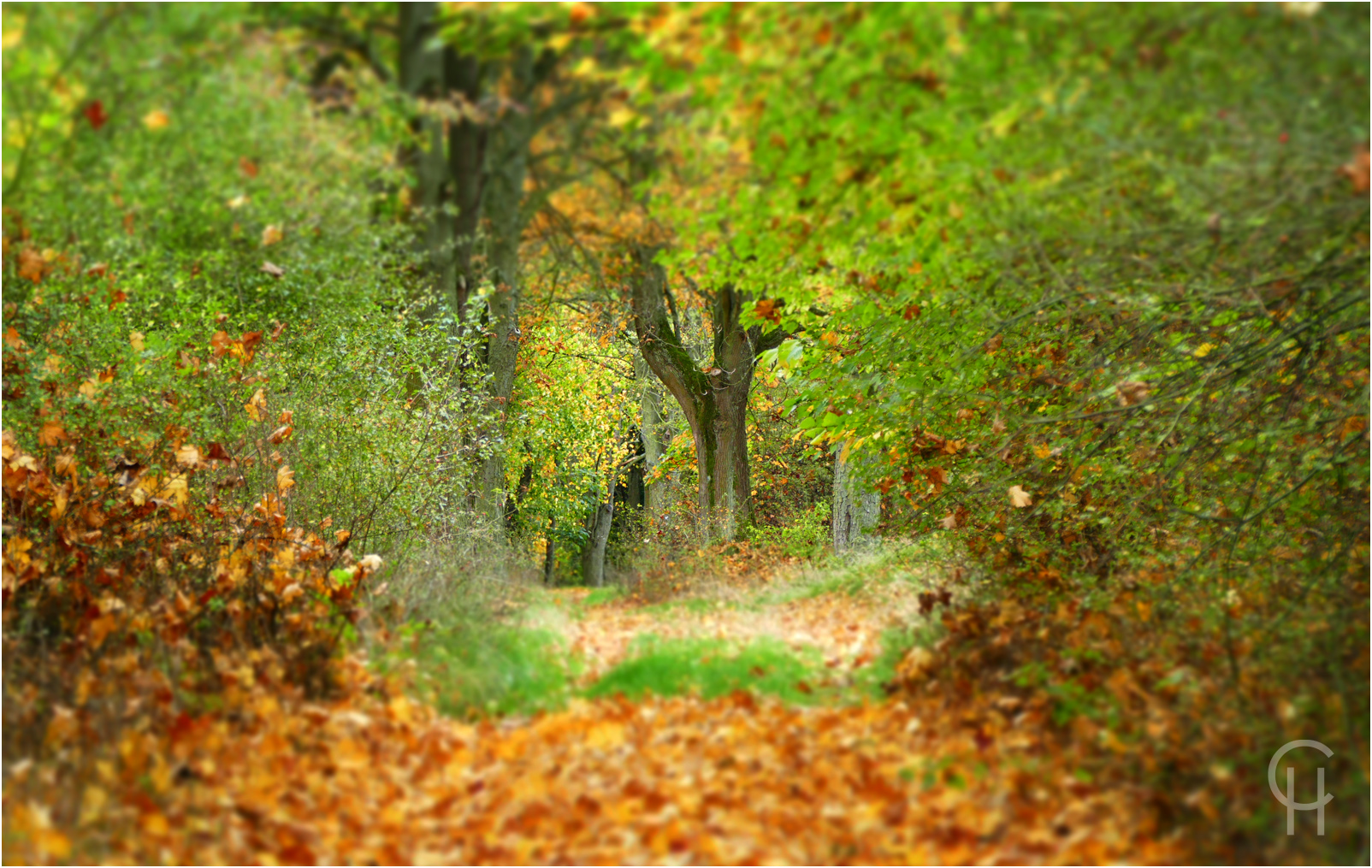 Ende des Herbstes