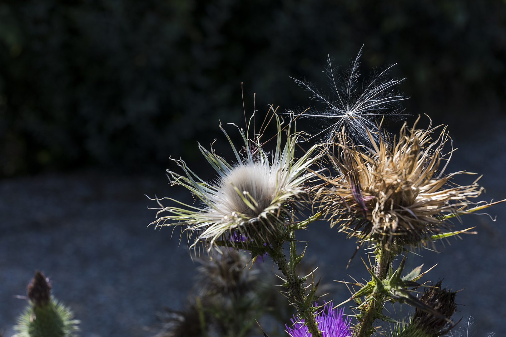 Ende des Sommers