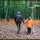 Ende des Waldspaziergangs