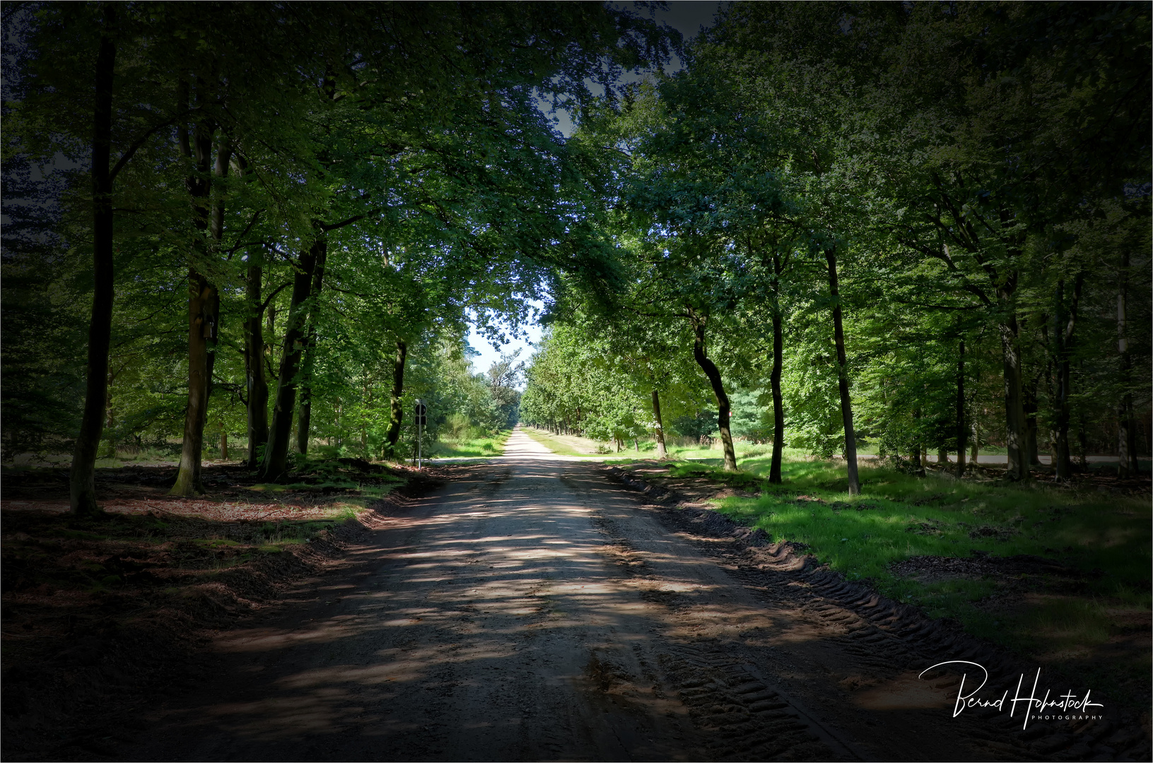 Ende des Weges .... Friedwald