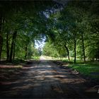 Ende des Weges .... Friedwald