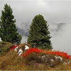 Ende eines Dolomiten-Herbstes