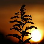 Ende eines Spätsommertages