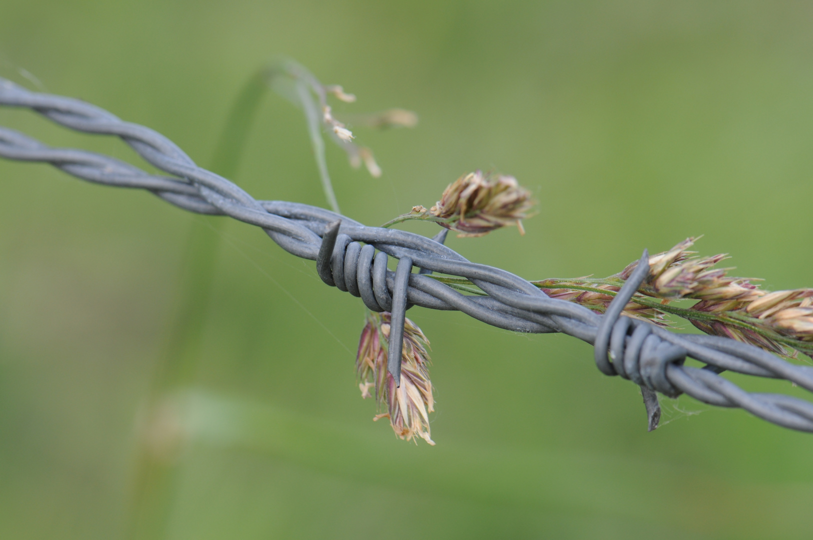 Ende eines Spaziergangs