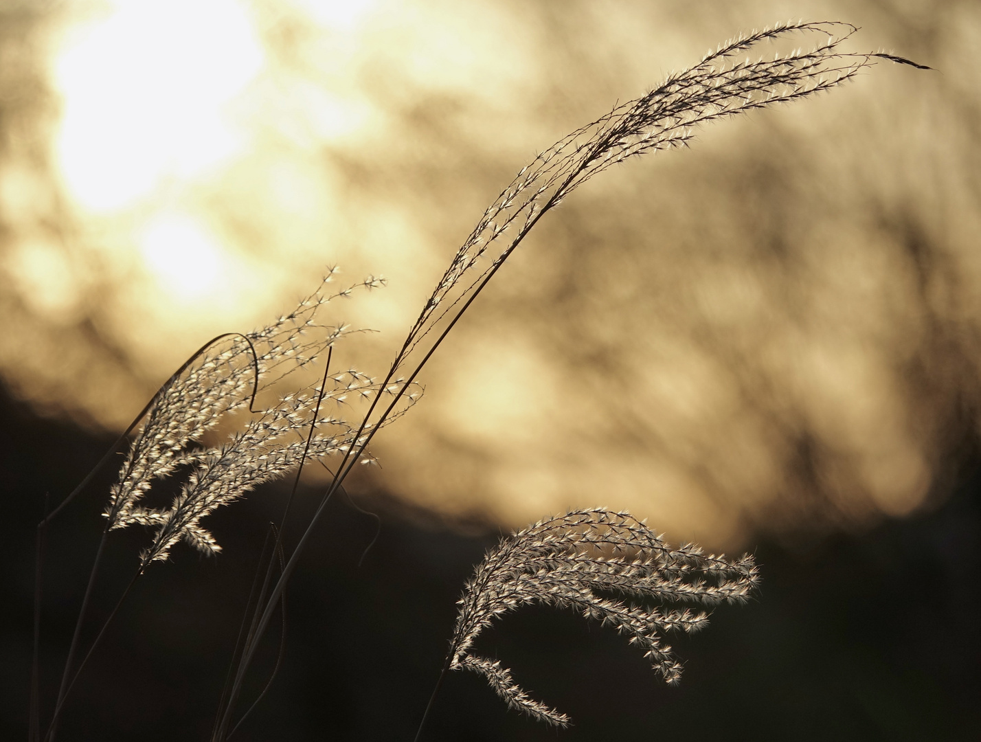 Ende eines Wintertages