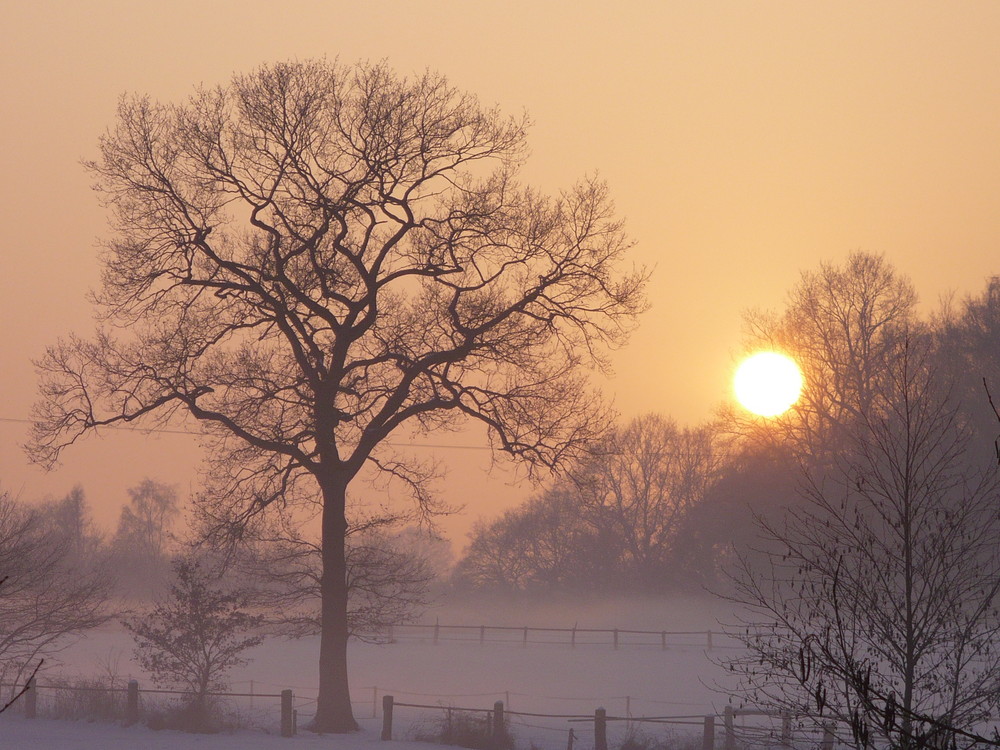 Ende eines Wintertages 2