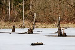 Ende Februar