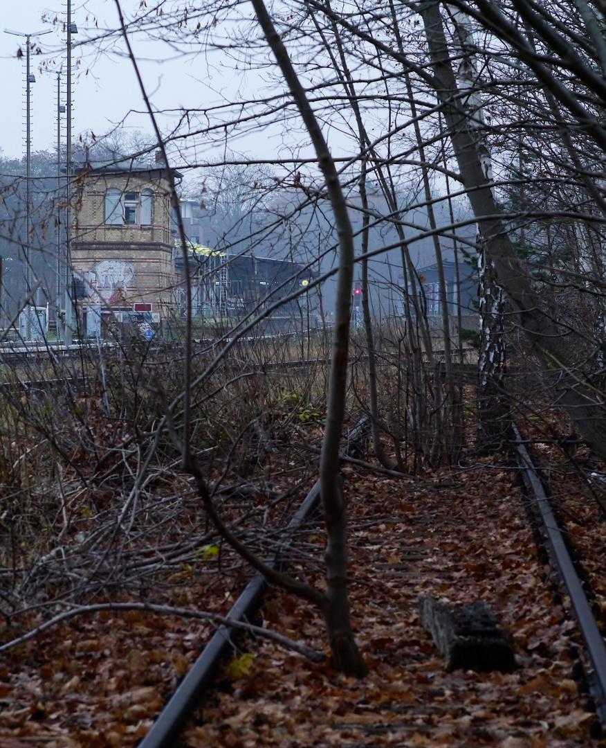 Ende Gelände - train ne va plus