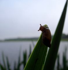 Ende im Gelände