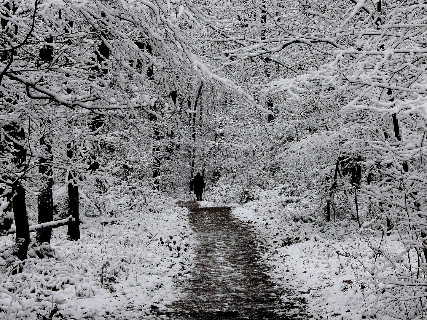 Ende Januar in Bonn