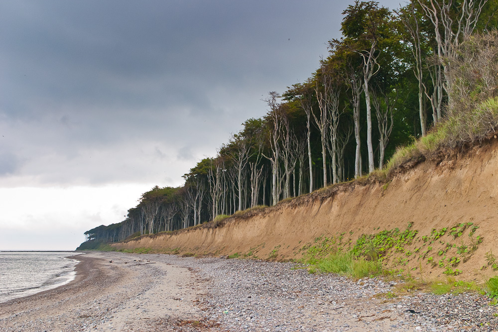 Ende Land - Ende Wald by Hans Irmer 