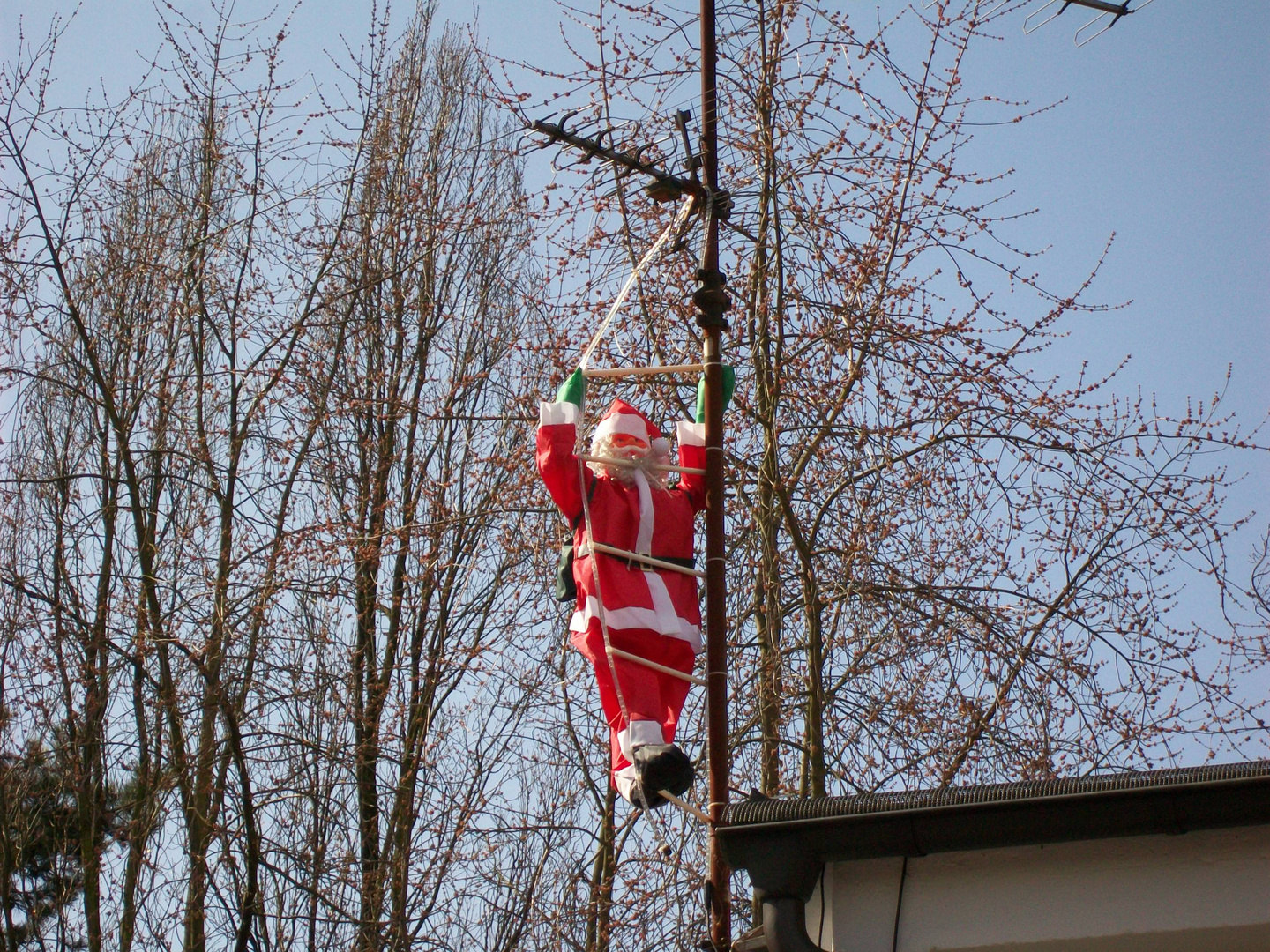 Ende März 2010 - der Osterhase klopft an