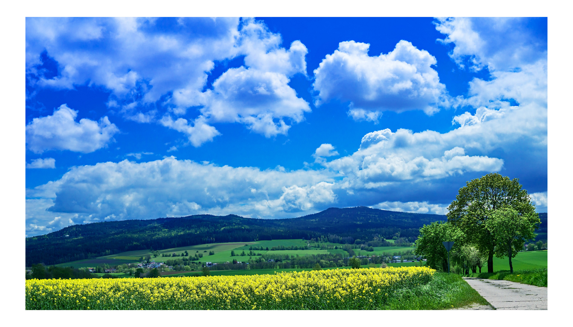 Ende Mai im Fichtelgebirge