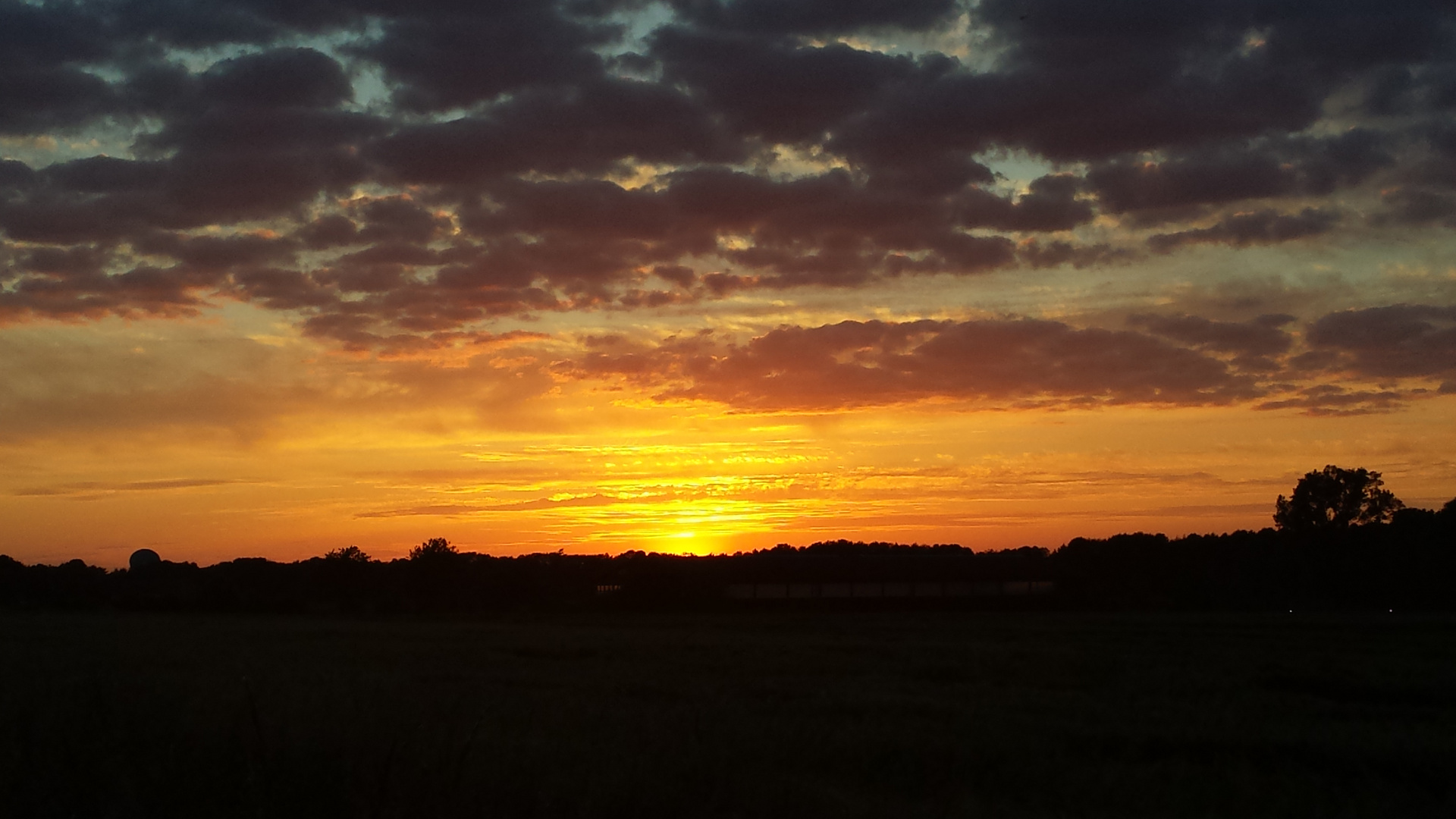 Ende Mai Sachsen-Anhalt Sonnenuntergang (Zerbst)