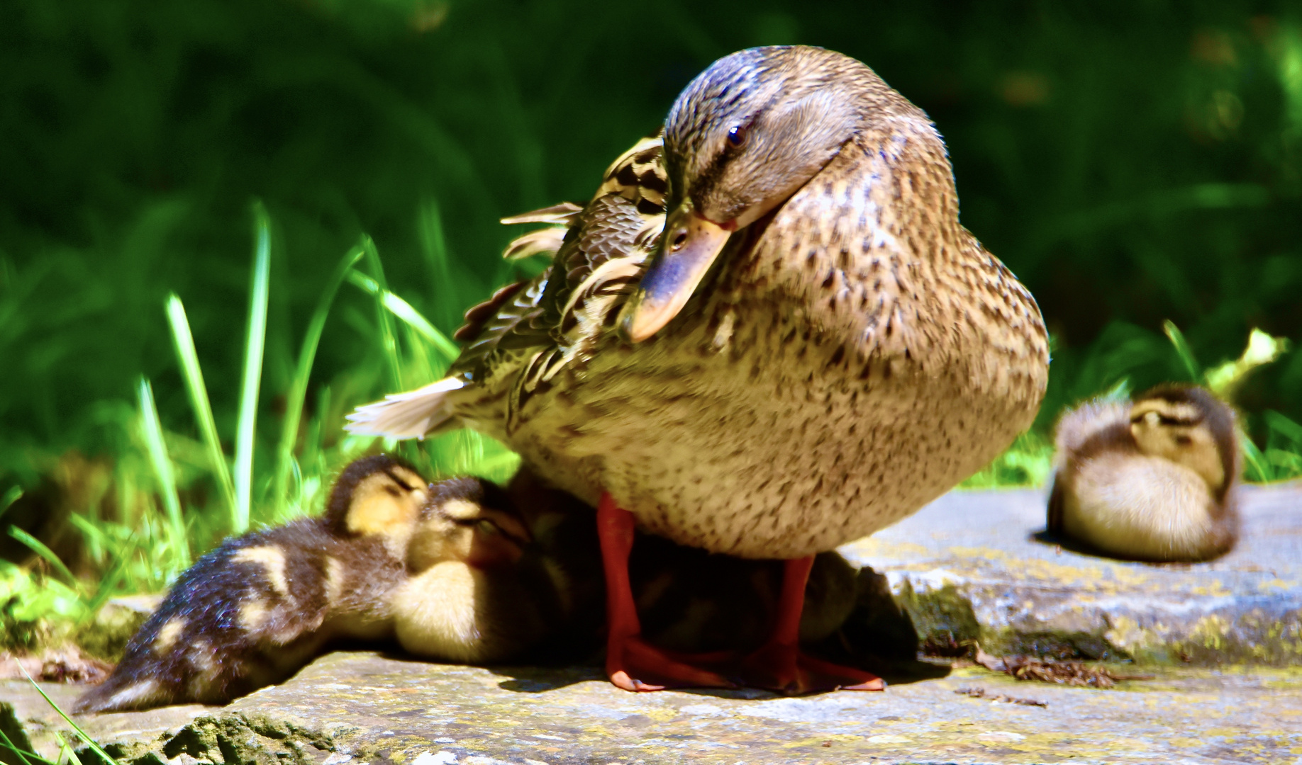 Ende mit Kinder.