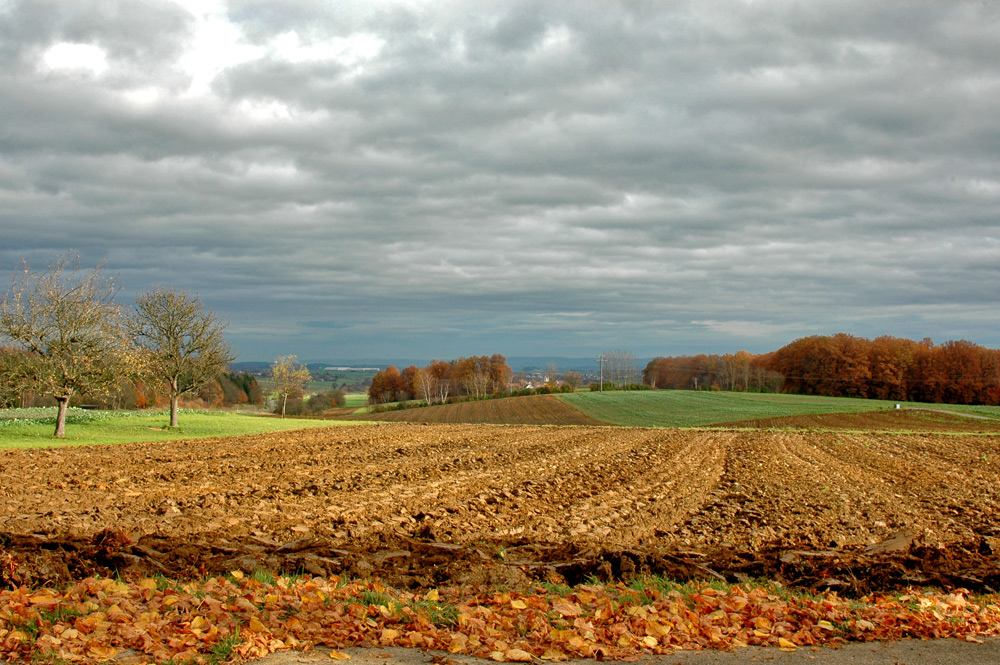 ... Ende November ...