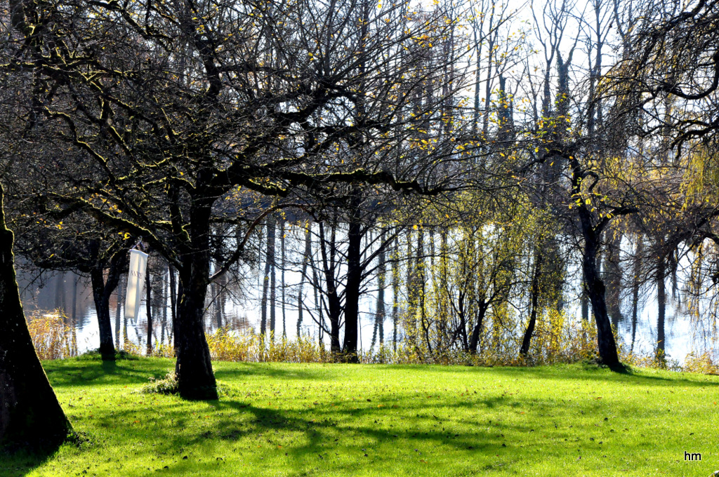 Ende November im Röhrenmoos